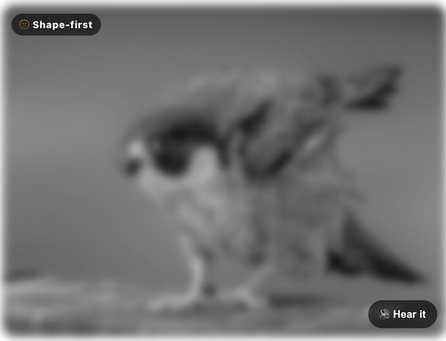 A bird shown in shape-first mode — grayscale and softly blurred so only its structure reads